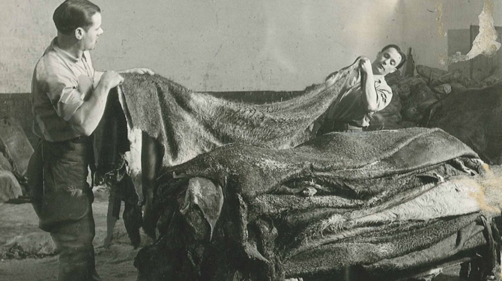 Vegetable Tanning in The Leather History