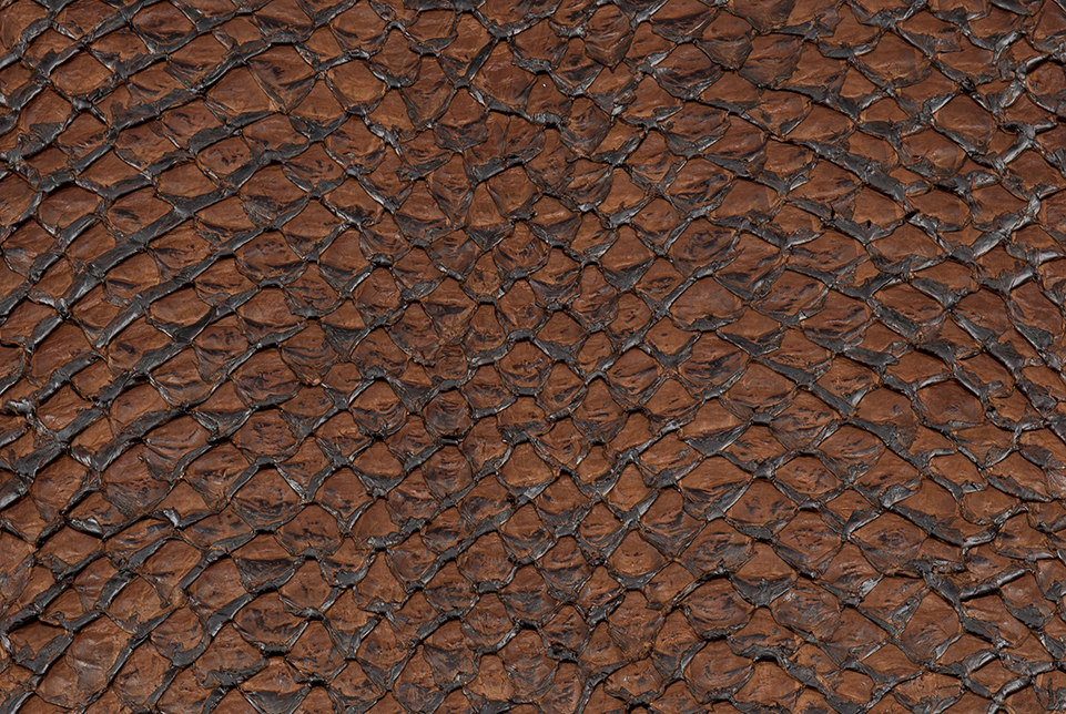 Arapaima Skin