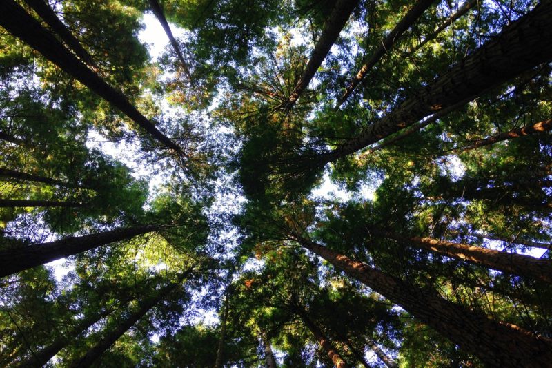 leather is actually good